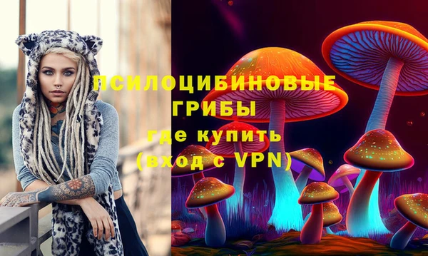 мяу мяу мука Михайловка