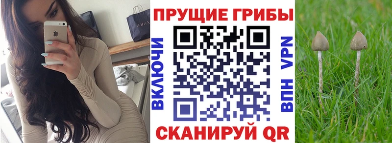магазин продажи Ясный Галлюциногенные грибы ЛСД